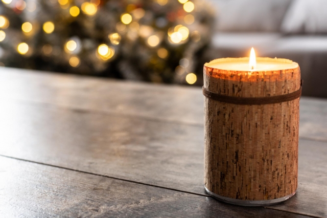 Lighting the Standard: The Story and Craft of Willis Candle Shop